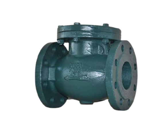 Check Valve