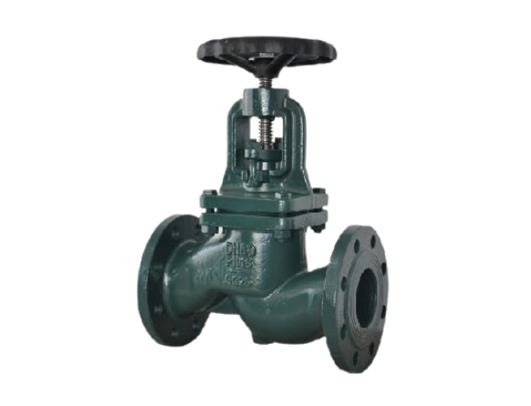 Globe Valve