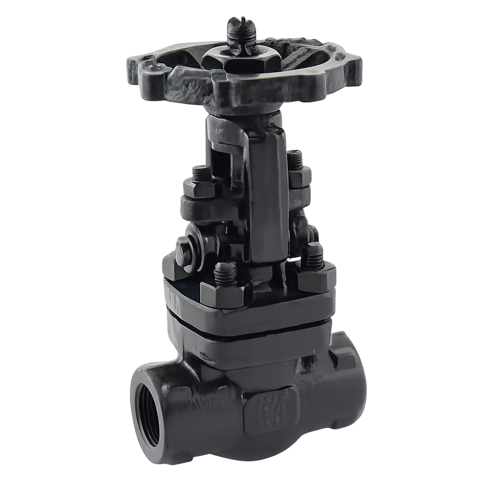 Forged Steel Gate Valve Class 800